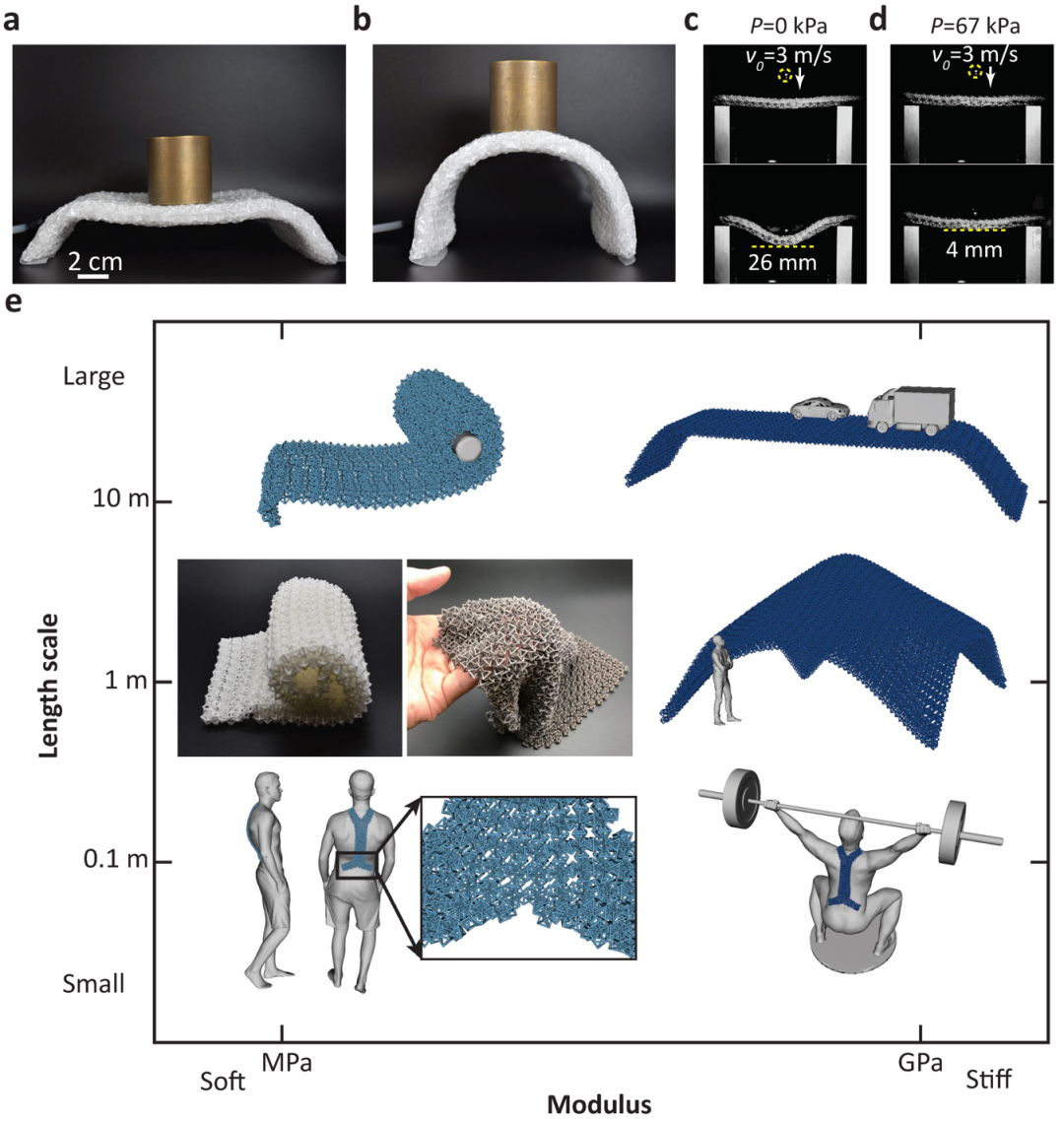加州理工Chiara Daraio教授和南洋理工王一凡教授Nature：3D打印可控制剛度的智能穿戴材料的圖3