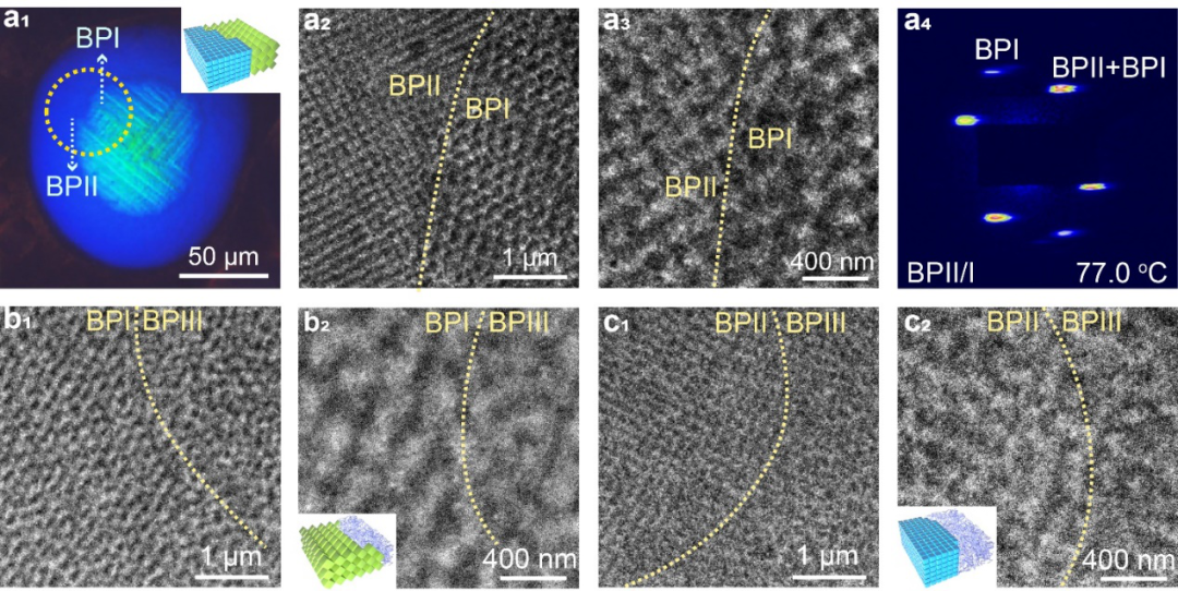 理化所江雷院士团队王京霞研究员与华理郑致刚教授《Nat. Commun.》：软超材料非扩散相变：从非晶态到简单立方和体心立方结构的图3