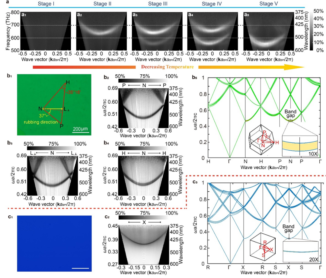 理化所江雷院士团队王京霞研究员与华理郑致刚教授《Nat. Commun.》：软超材料非扩散相变：从非晶态到简单立方和体心立方结构的图4