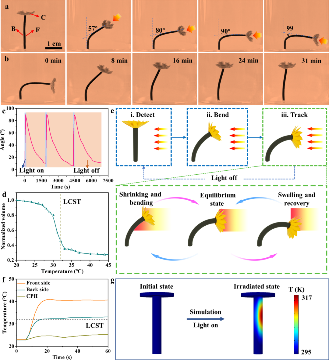 江南大学刘天西教授课题组《Energy Environ. Sci.》：一种新型仿生自追踪光催化系统的图2