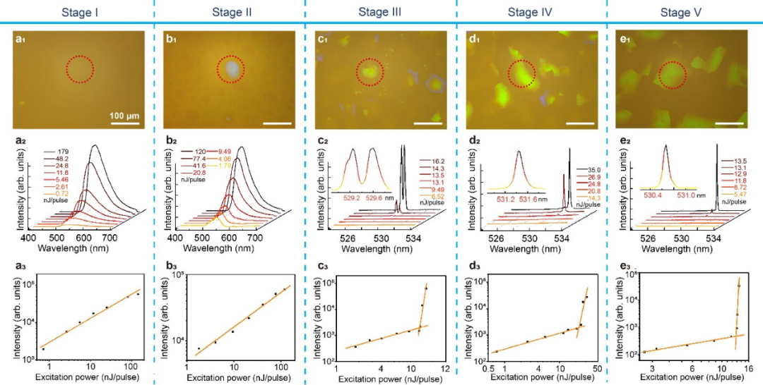 理化所江雷院士团队王京霞研究员与华理郑致刚教授《Nat. Commun.》：软超材料非扩散相变：从非晶态到简单立方和体心立方结构的图14