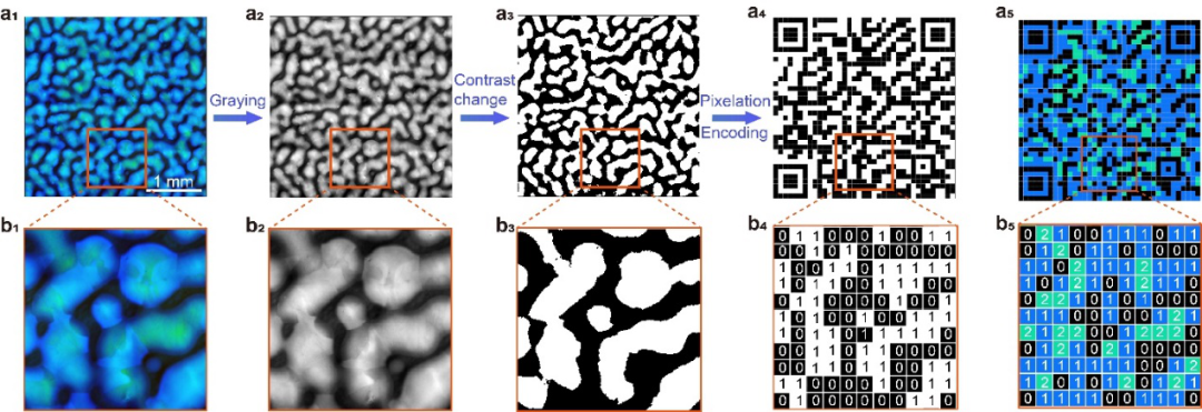 理化所江雷院士团队王京霞研究员与华理郑致刚教授《Nat. Commun.》：软超材料非扩散相变：从非晶态到简单立方和体心立方结构的图12
