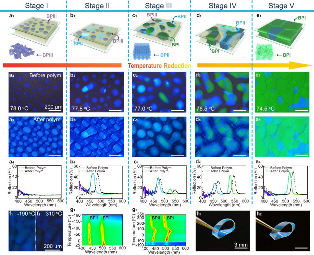 理化所江雷院士团队王京霞研究员与华理郑致刚教授《Nat. Commun.》：软超材料非扩散相变：从非晶态到简单立方和体心立方结构的图1