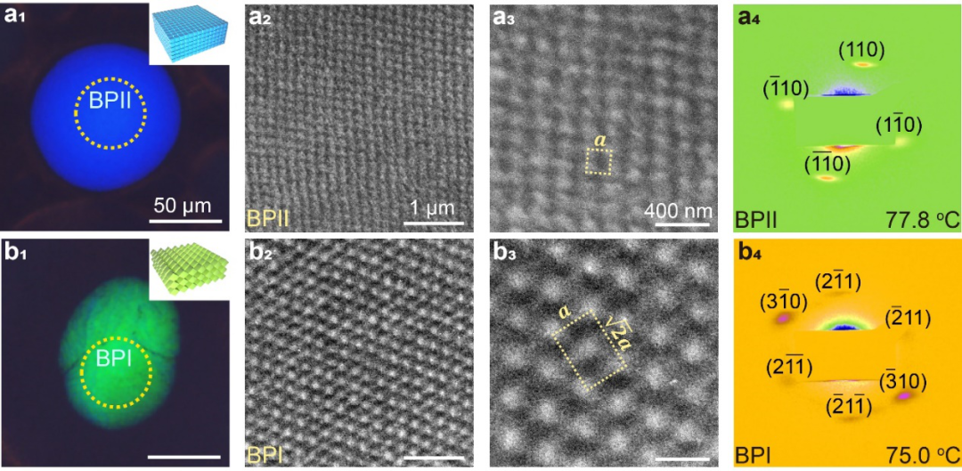 理化所江雷院士团队王京霞研究员与华理郑致刚教授《Nat. Commun.》：软超材料非扩散相变：从非晶态到简单立方和体心立方结构的图2