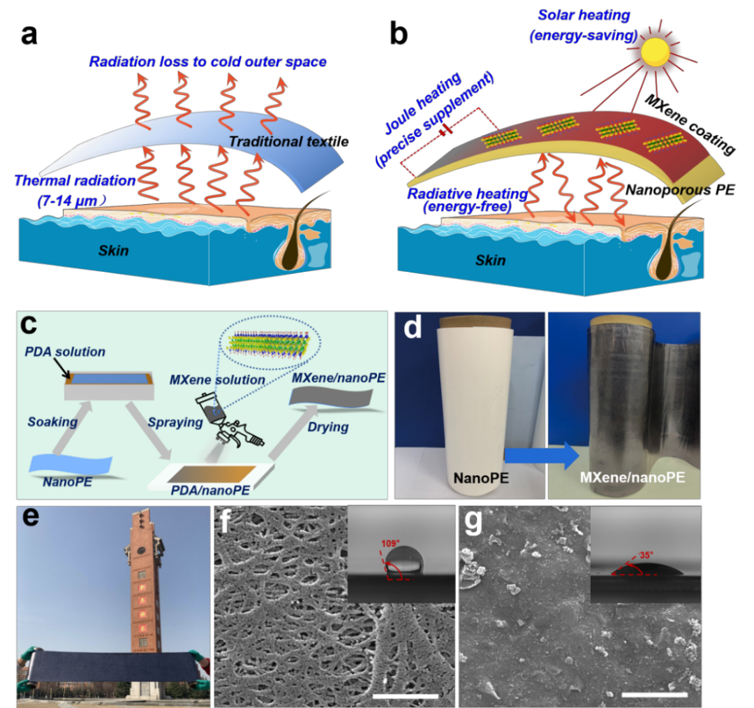 郑州大学王建峰/王万杰ACS Nano：可被动辐射加热的MXene/nanoPE织物用于个人精准热管理的图3