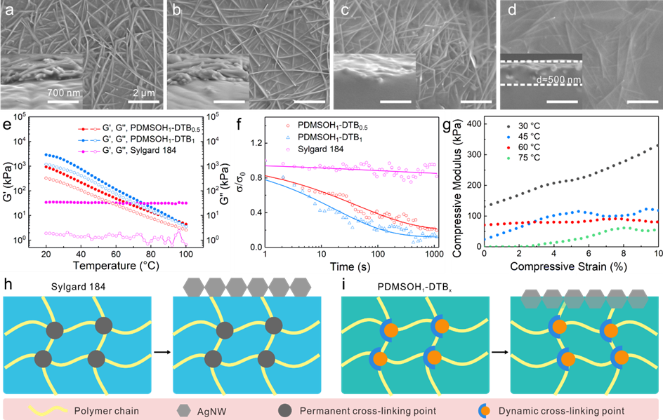 华南理工大学刘岚教授团队《AFM》：基于受阻脲键及氢键协同作用的半包埋高稳定可拉伸导体的图3