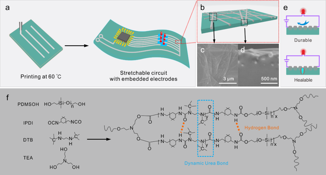 华南理工大学刘岚教授团队《AFM》：基于受阻脲键及氢键协同作用的半包埋高稳定可拉伸导体的图1