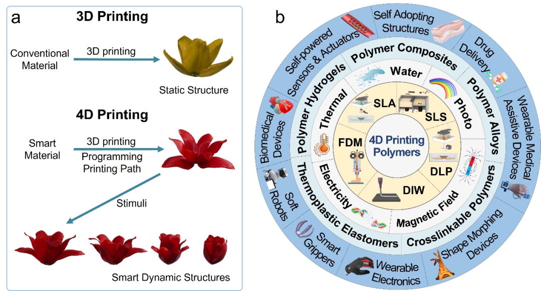 康涅狄格大学孙陆逸教授和合作者《Prog. Polym. Sci.》综述：高分子材料4D打印 - 技术、材料与展望的图2