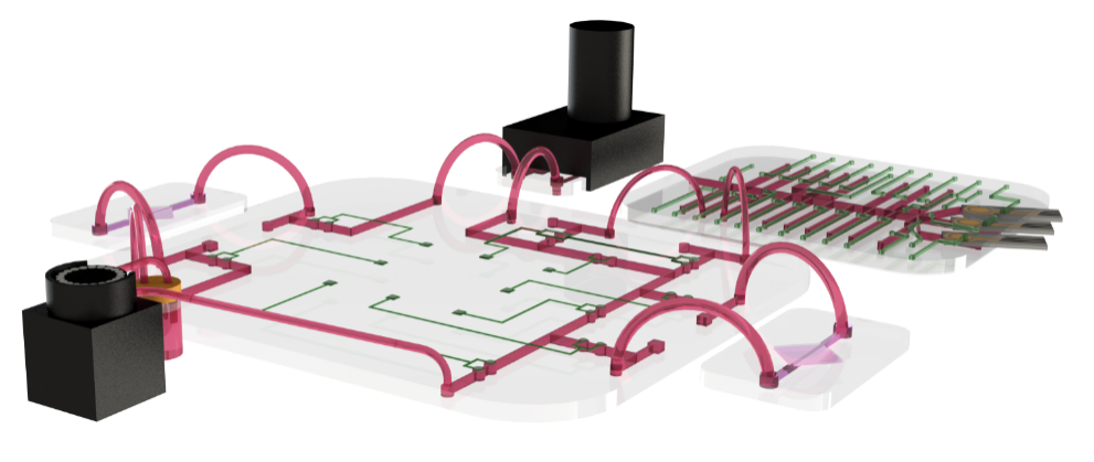 哈佛医学院Y. Shrike Zhang教授课题组Nat. Protoc.：器官芯片的电化学生物传感器集成的图1