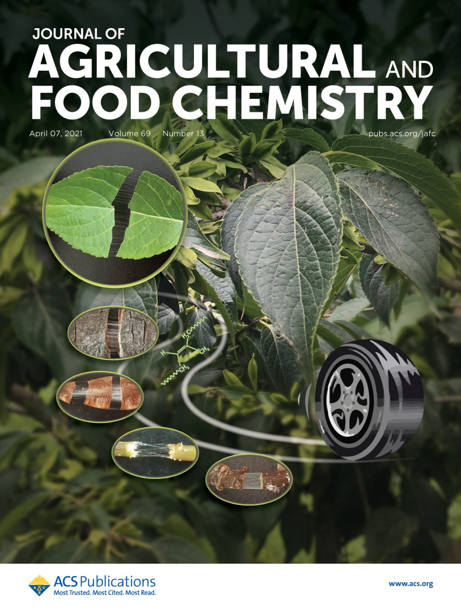 西农董娟娥教授团队JAFC封面综述：一种新型材料-天然高分子杜仲橡胶的图1