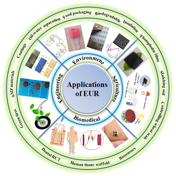 西农董娟娥教授团队JAFC封面综述：一种新型材料-天然高分子杜仲橡胶的图4