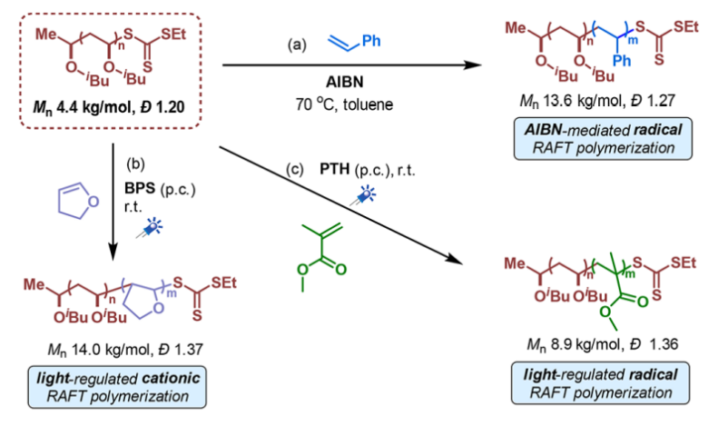 福州大学廖赛虎教授课题组 JACS：有机催化乙烯基醚的立体选择性阳离子RAFT聚合的图4