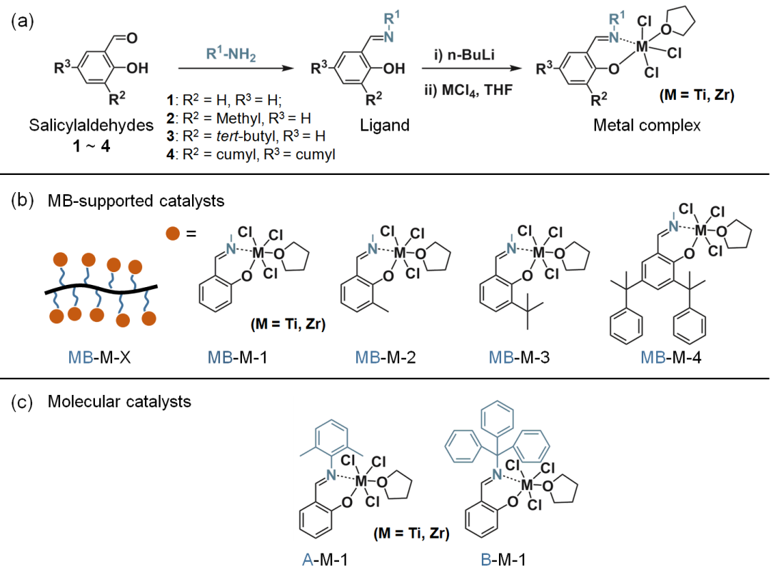 南科大陳忠仁教授課題組Macromolecules ：瓶刷狀大分子負載的苯氧基亞胺金屬配合物的合成及其在乙烯聚合上的應用的圖7