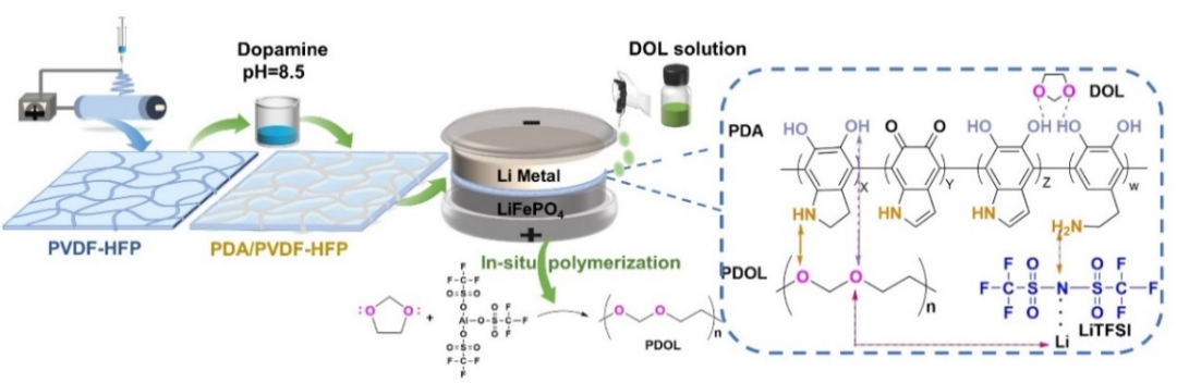 北京化工大学隋刚教授《Adv. Sci.》：原位构筑聚1,3-二氧戊环基电解质用于安全的锂金属电池的图1