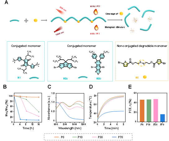 中科院化学所肖海华研究员团队《Adv. Mater.》：可降解的近红外二区假性共轭聚合物光热剂治疗高级别浆液性卵巢癌的图1