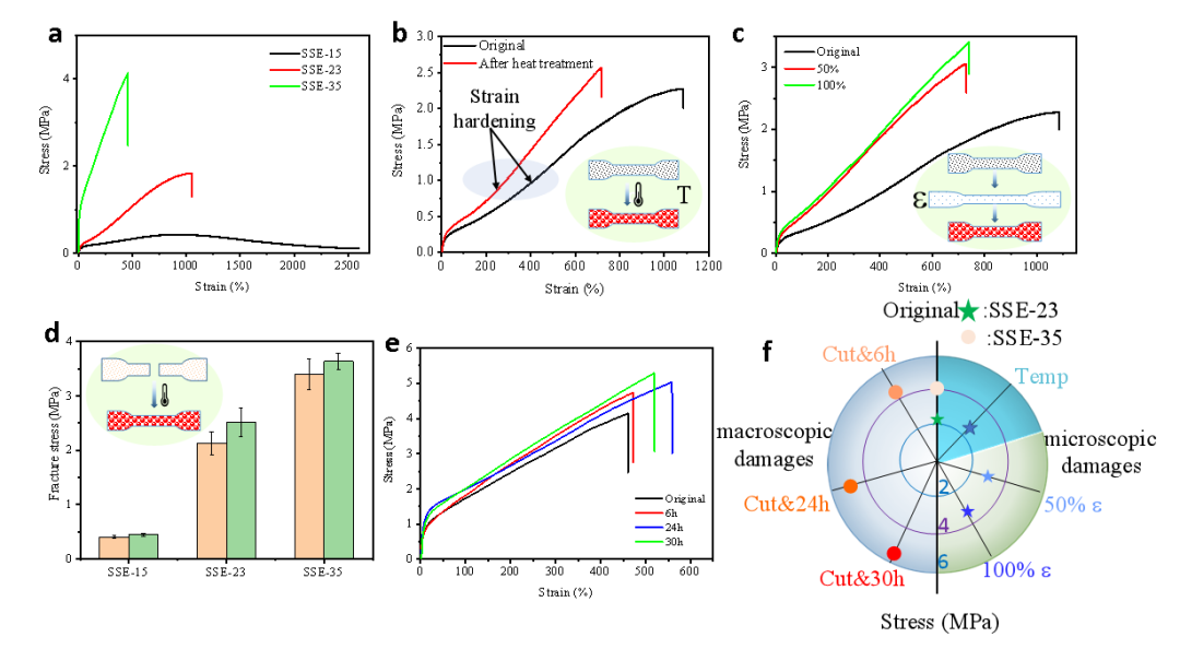 四川大学吴锦荣教授团队《Mater. Horiz.》：通过构筑热力学不稳定性和动力学稳定性实现弹性体修复后变强的图3
