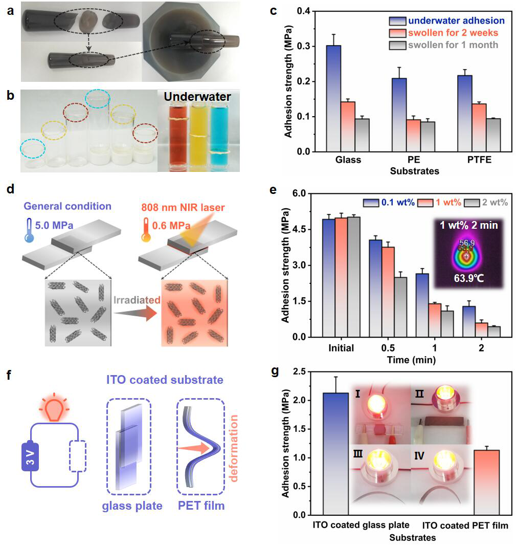 湖南大学张世国教授团队《Adv. Mater.》：新型高效多功能聚离子液体粘附材料的图5
