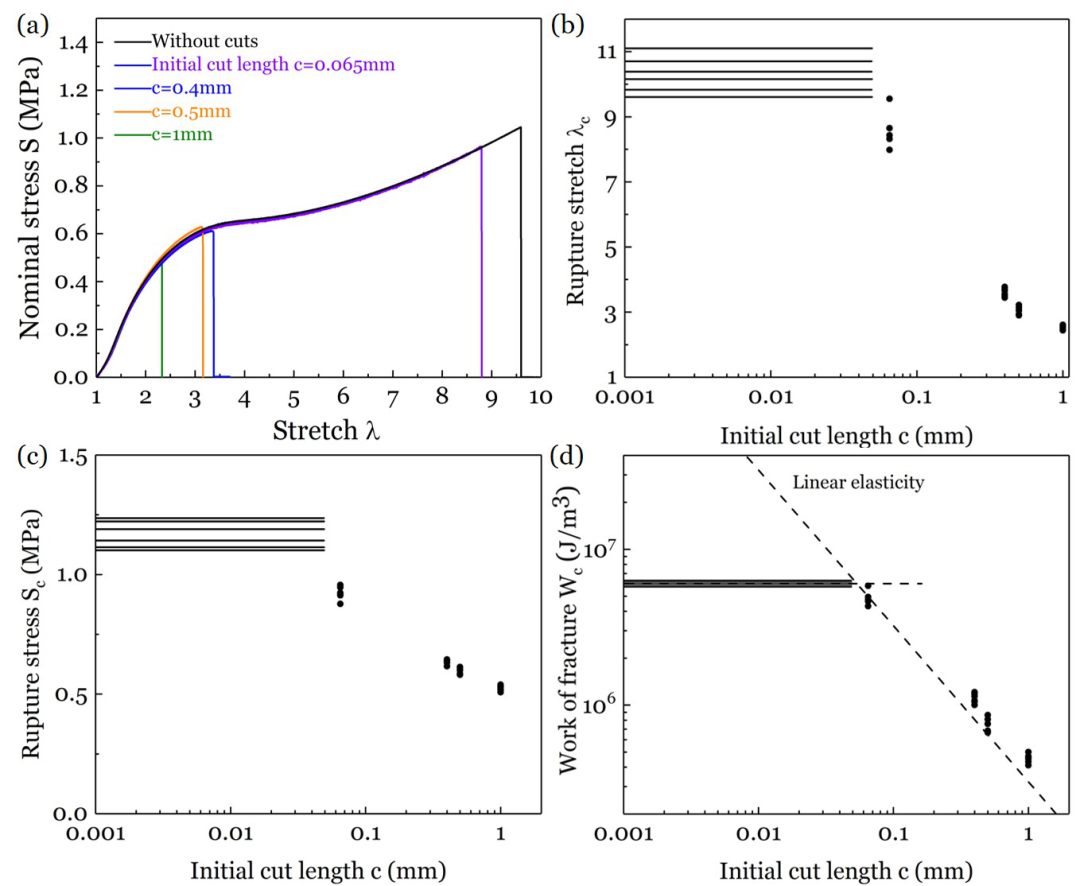 哈佛大学锁志刚教授与西安交大卢同庆教授合作：韧性水凝胶在循环载荷下的裂纹敏感性的图4