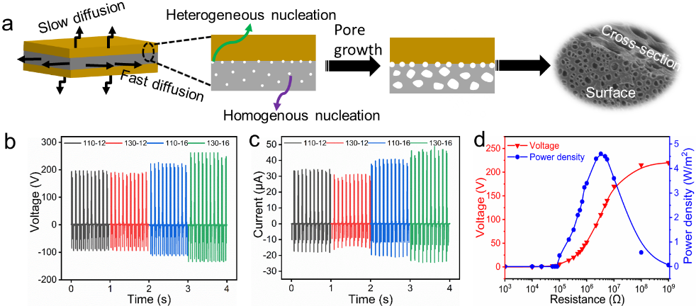 郑州大学橡塑模具团队《Nano Energy》：在超临界二氧化碳发泡（scCO2）技术制备高性能摩擦纳米发电机方面取得进展的图2