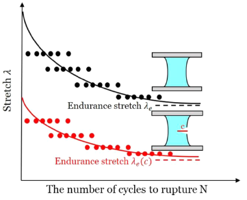 哈佛大学锁志刚教授与西安交大卢同庆教授合作：韧性水凝胶在循环载荷下的裂纹敏感性的图2