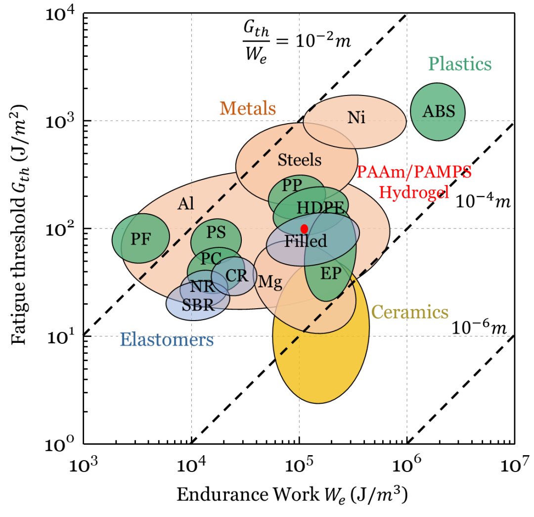哈佛大学锁志刚教授与西安交大卢同庆教授合作：韧性水凝胶在循环载荷下的裂纹敏感性的图9