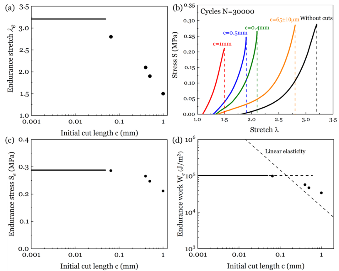 哈佛大学锁志刚教授与西安交大卢同庆教授合作：韧性水凝胶在循环载荷下的裂纹敏感性的图8