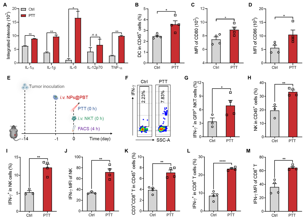 中科大王育才教授/白丽教授合作Nano Letters：高分子材料增强自然杀伤性T细胞的肿瘤治疗效果的图3