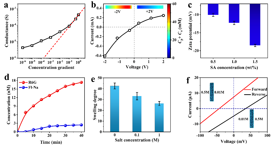 青岛大学隋坤艳教授团队《Angew》：抗溶胀梯度凝胶膜用于高效渗透能提取的图2