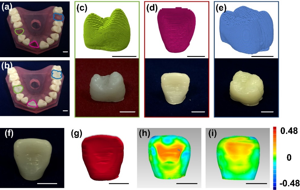 东华大学朱美芳院士、张耀鹏教授 Adv. Sci.：3D打印仿生高强度、多尺度、高精度的生物活性牙冠的图3