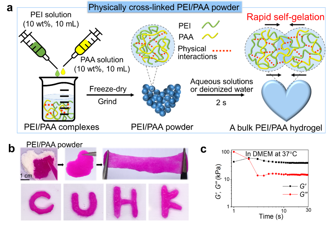 华南理工大学边黎明教授课题组《Sci. Adv.》：遇水自发形成水凝胶并在湿润动物组织表面形成强韧黏附的粉末的图1