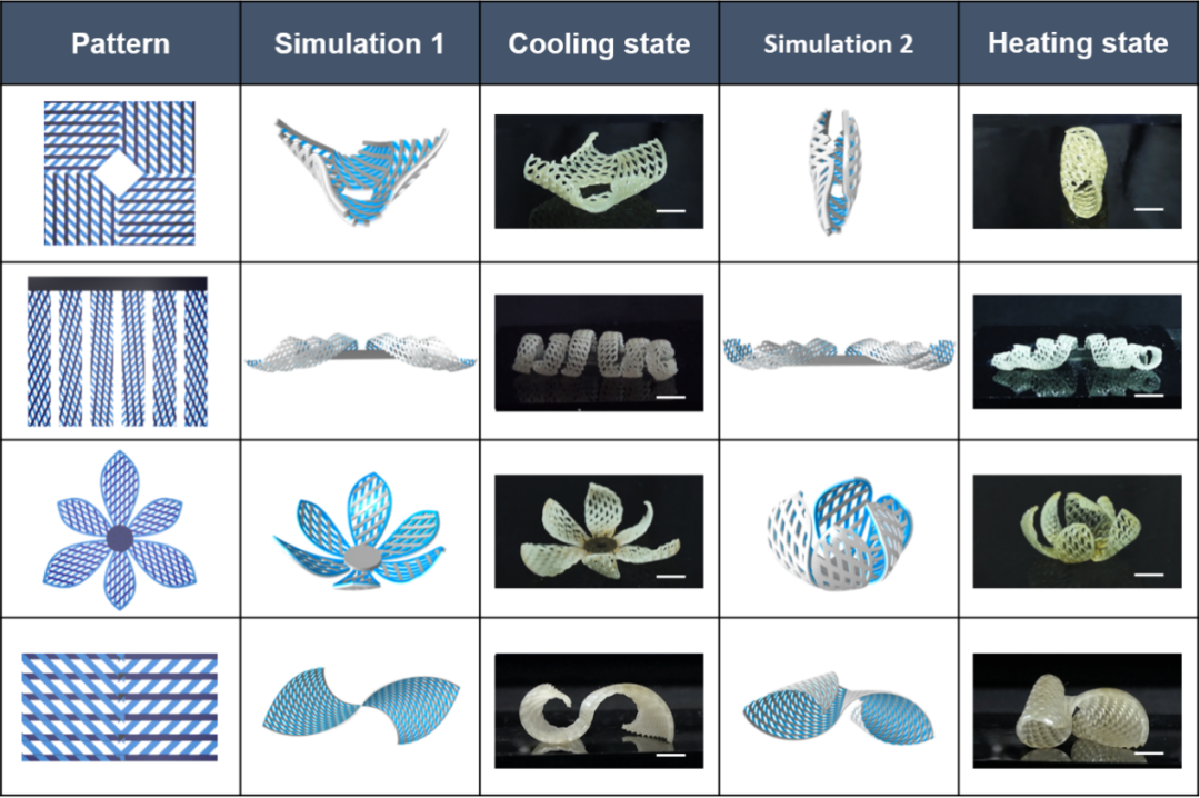浙江大學謝濤教授課題組《Adv. Mater.》：在液晶彈性體取向機理上取得新進展的圖2