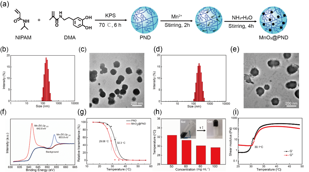 华中科技大学王芹/朱艳红AFM：可注射黏附性水凝胶捕获光热产生的抗原构建肿瘤原位疫苗的图2