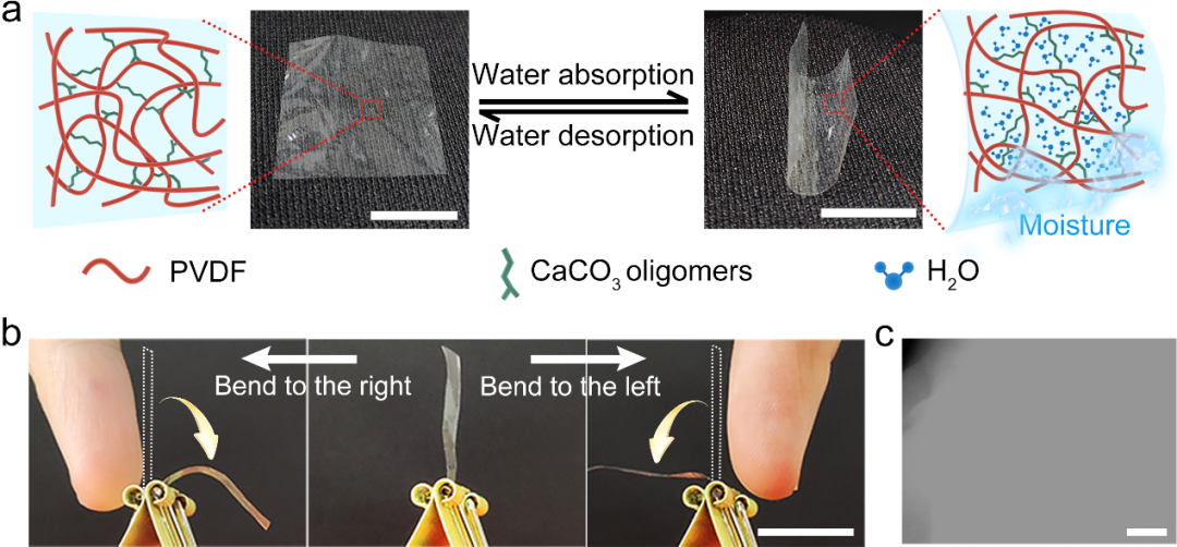 浙江大学唐睿康、刘昭明团队AFM：基于有机无机共聚开发高灵敏度湿度驱动器的图1