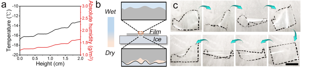 浙江大学唐睿康、刘昭明团队AFM：基于有机无机共聚开发高灵敏度湿度驱动器的图2