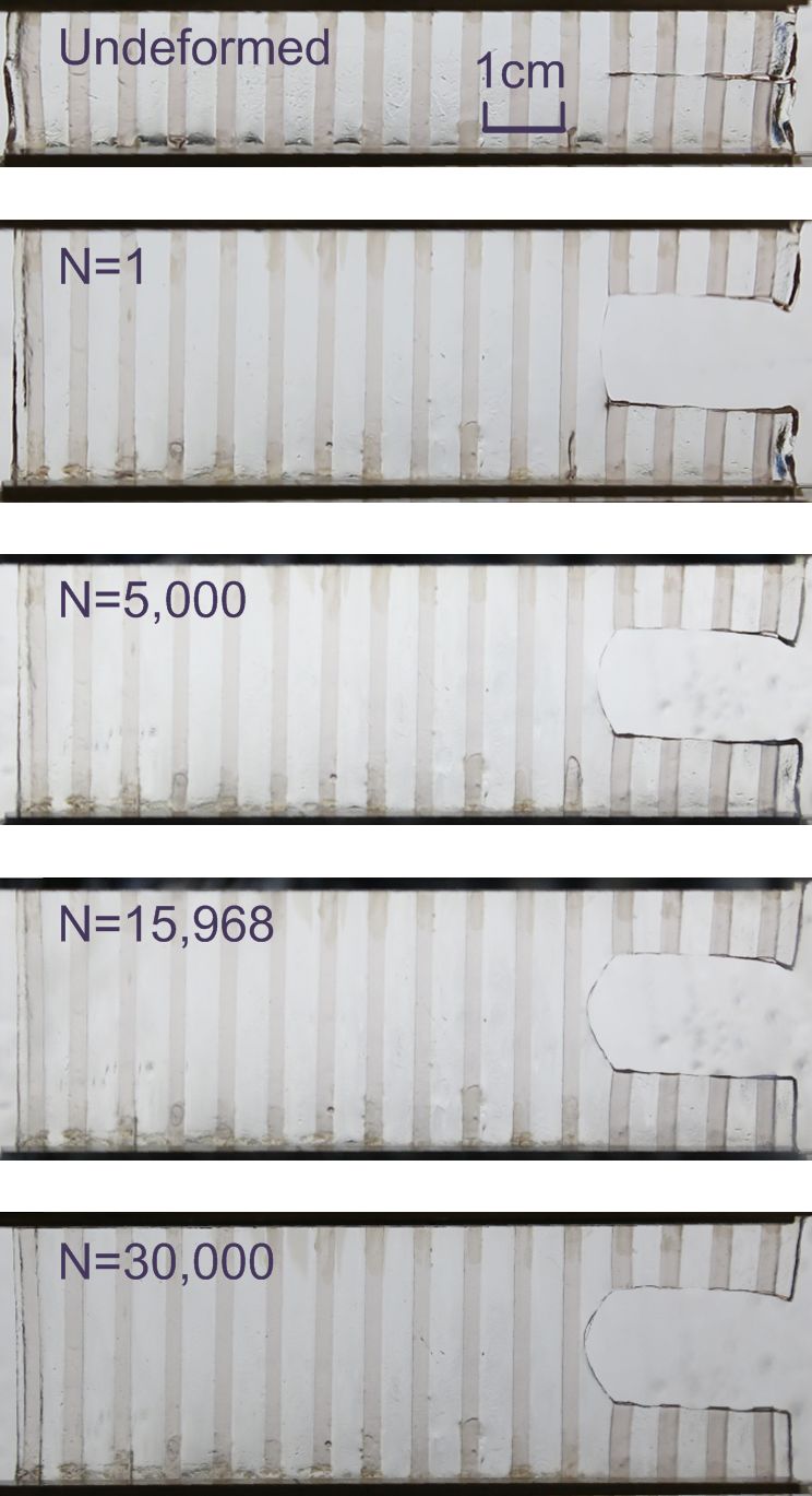 哈佛大学锁志刚教授课题组《MaterialsToday》：抗疲劳材料设计一般原则