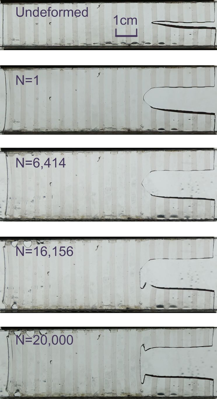 哈佛大学锁志刚教授课题组《MaterialsToday》：抗疲劳材料设计一般原则