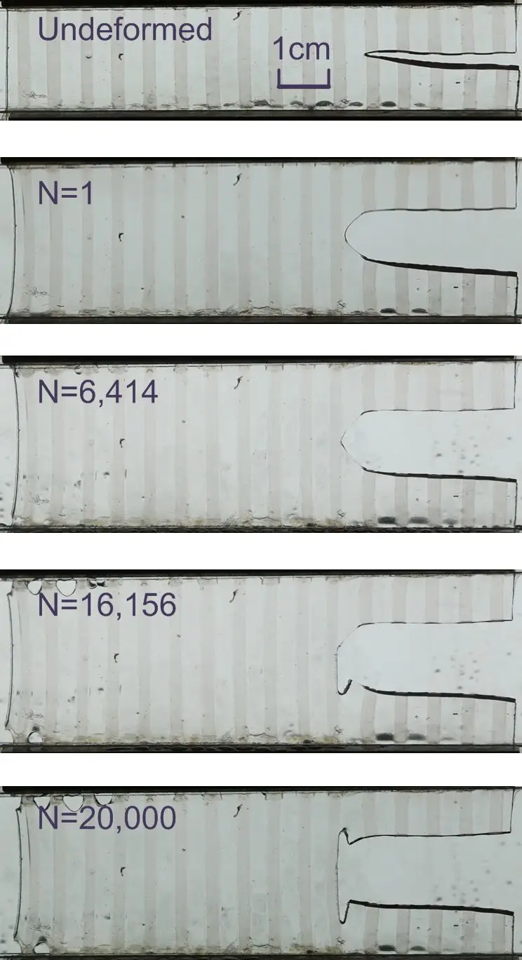 哈佛大学锁志刚教授课题组《MaterialsToday》:抗疲劳材料设计一般原则 哈佛大学锁志刚教授课题组《MaterialsToday》:抗疲劳材料设计一般原则