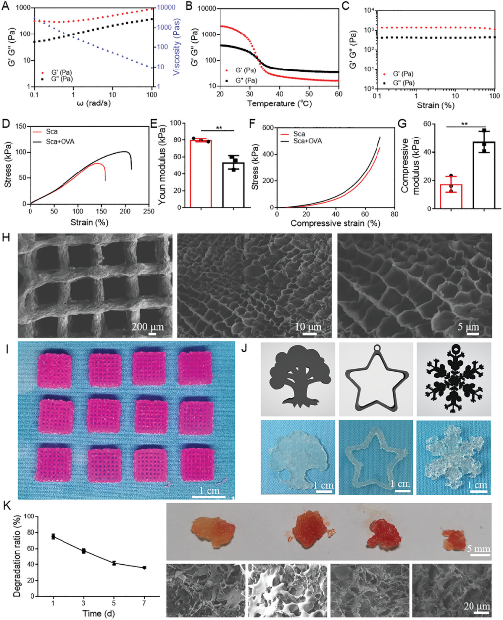 苏州大学汪超教授团队《AM》:用于肿瘤免疫治疗的3D打印支架疫苗的图2