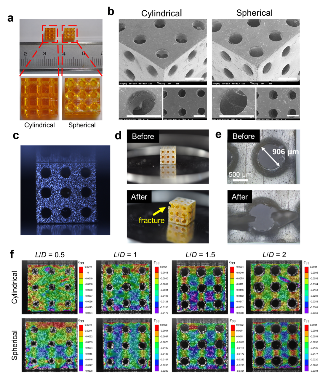 中山大学王山峰教授团队《Mater. Design》：圆柱形和球形模型在骨组织工程支架设计中的对比研究的图2