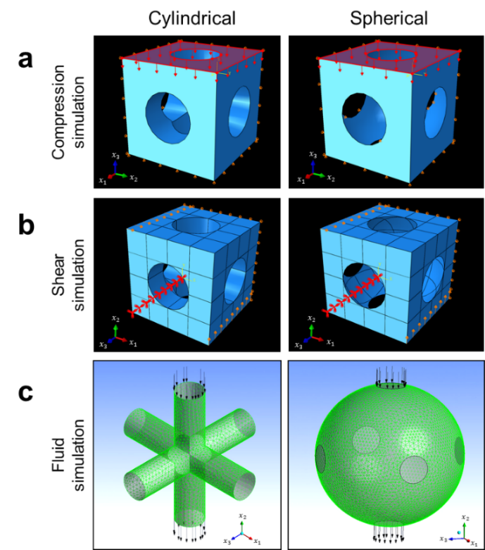 中山大学王山峰教授团队《Mater. Design》：圆柱形和球形模型在骨组织工程支架设计中的对比研究的图1