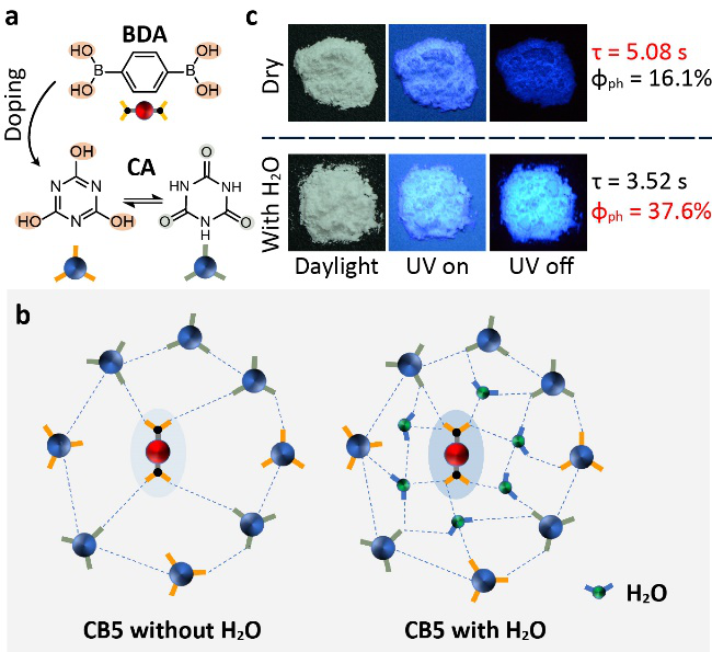 南京邮电大学陈润锋教授课题组Angew：在有机超长室温磷光上取得新进展的图1
