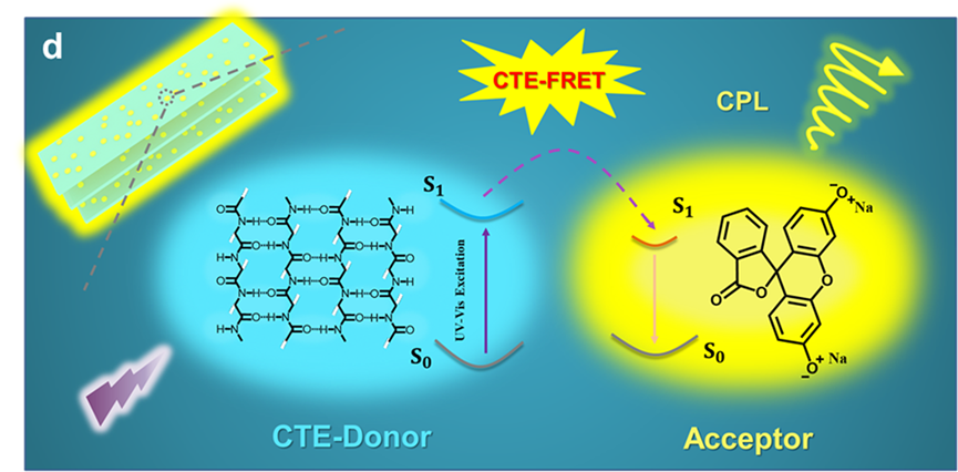 北京大学阎云研究员与唐本忠院士合作《Nat. Commun.》：在团簇诱导的圆偏振荧光上取得新进展的图4