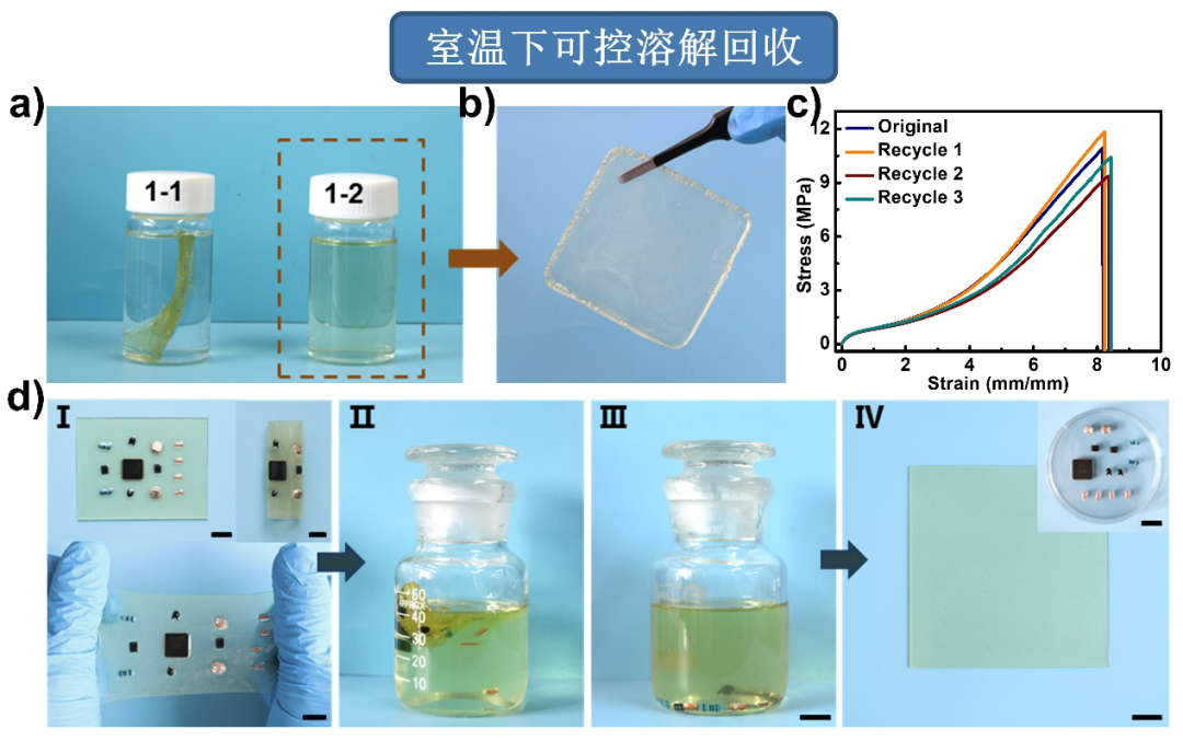 東華大學(xué)游正偉教授團隊AFM：實現(xiàn)熱固性彈性體室溫下可控溶解回收的圖4