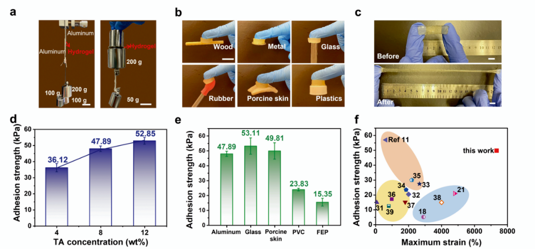 香港城市大学王钻开教授团队《Mater. Horiz.》：基于单宁酸介导动态相互作用构建超拉伸性、高黏附性和自修复水凝胶的图4