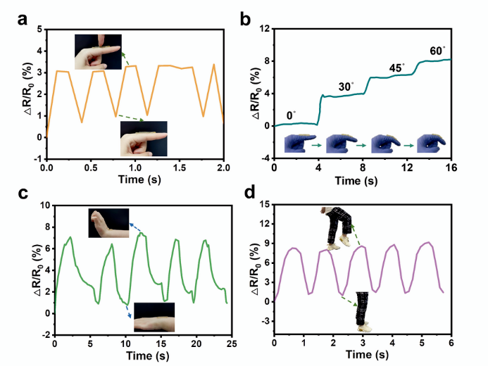 香港城市大学王钻开教授团队《Mater. Horiz.》：基于单宁酸介导动态相互作用构建超拉伸性、高黏附性和自修复水凝胶的图6