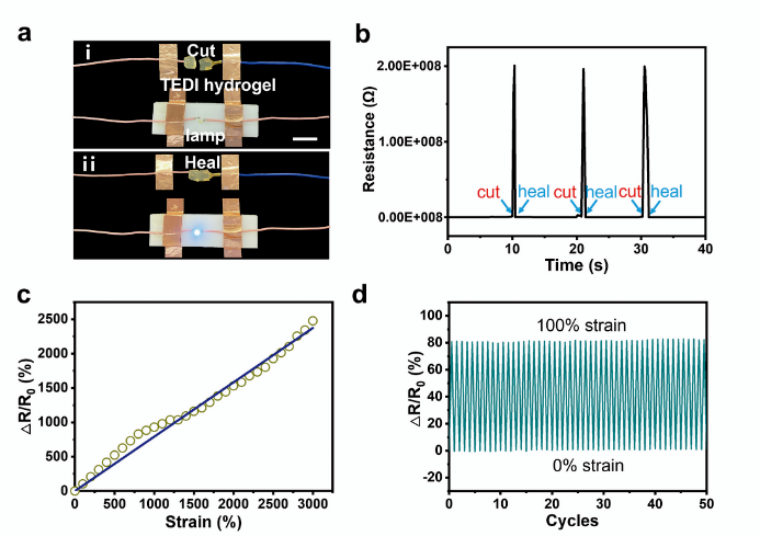 香港城市大学王钻开教授团队《Mater. Horiz.》：基于单宁酸介导动态相互作用构建超拉伸性、高黏附性和自修复水凝胶的图5