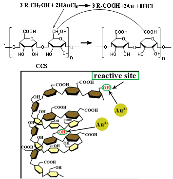 華南理工大學張水洞教授課題組：基于類Fenton試劑實現淀粉/微晶纖維素的水溶還原性、抗菌、物理和化學交聯劑特性的圖1