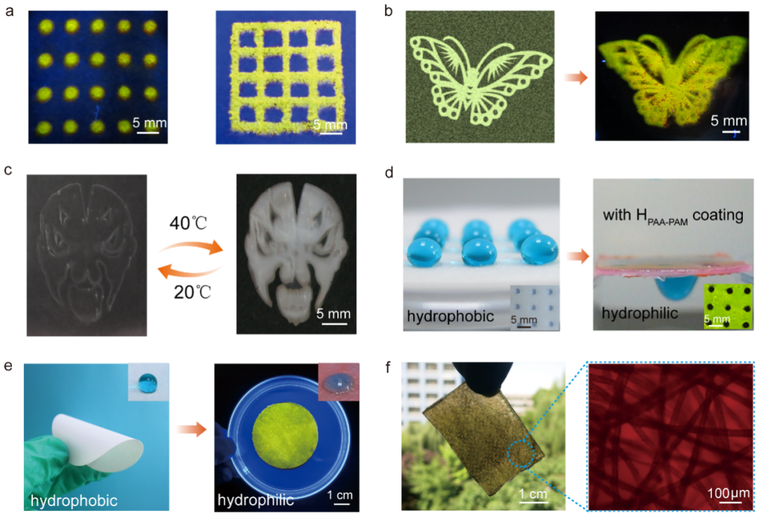 中科院兰州化物所周峰研究员团队 Adv. Mater.: 材料和器械表面生长水凝胶润滑涂层新方法的图4