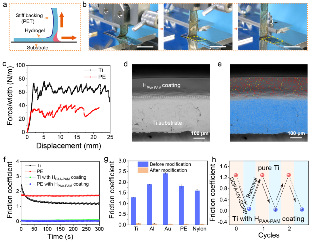 中科院兰州化物所周峰研究员团队 Adv. Mater.: 材料和器械表面生长水凝胶润滑涂层新方法的图3