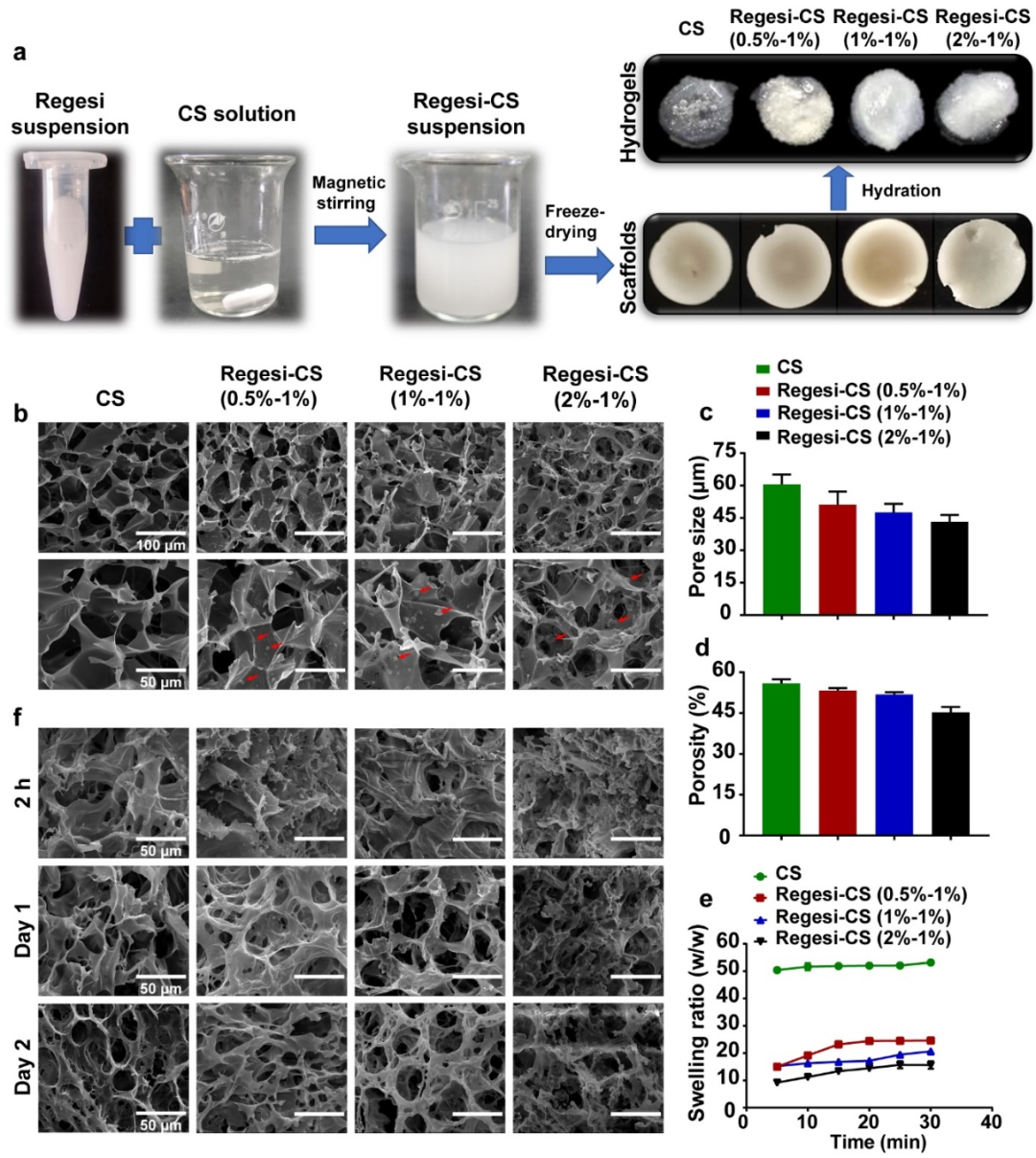 壳聚糖治什么病川大华西口腔医学院彭强研究员团队 AHM：多功能再生硅-壳聚糖水凝胶促进MRSA感染的糖尿病创面愈合_https://www.jmylbn.com_新闻资讯_第5张